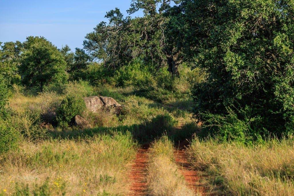 24 acres in Llano County - photo 25