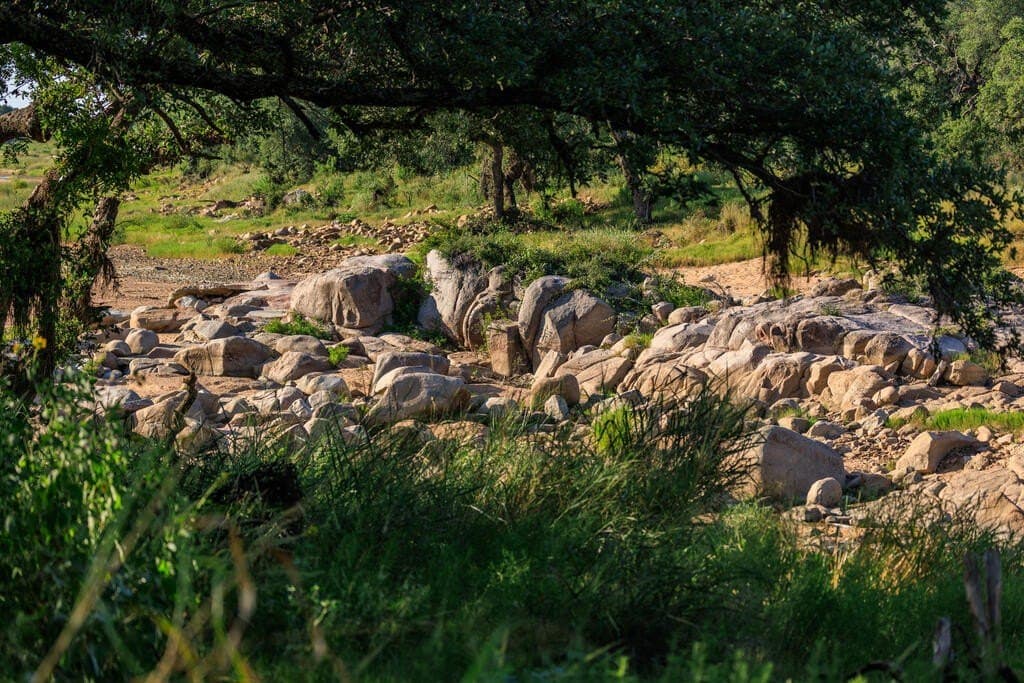 24 acres in Llano County - photo 20