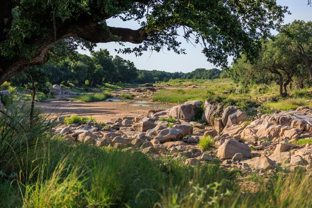24 acres in Llano County - photo 22