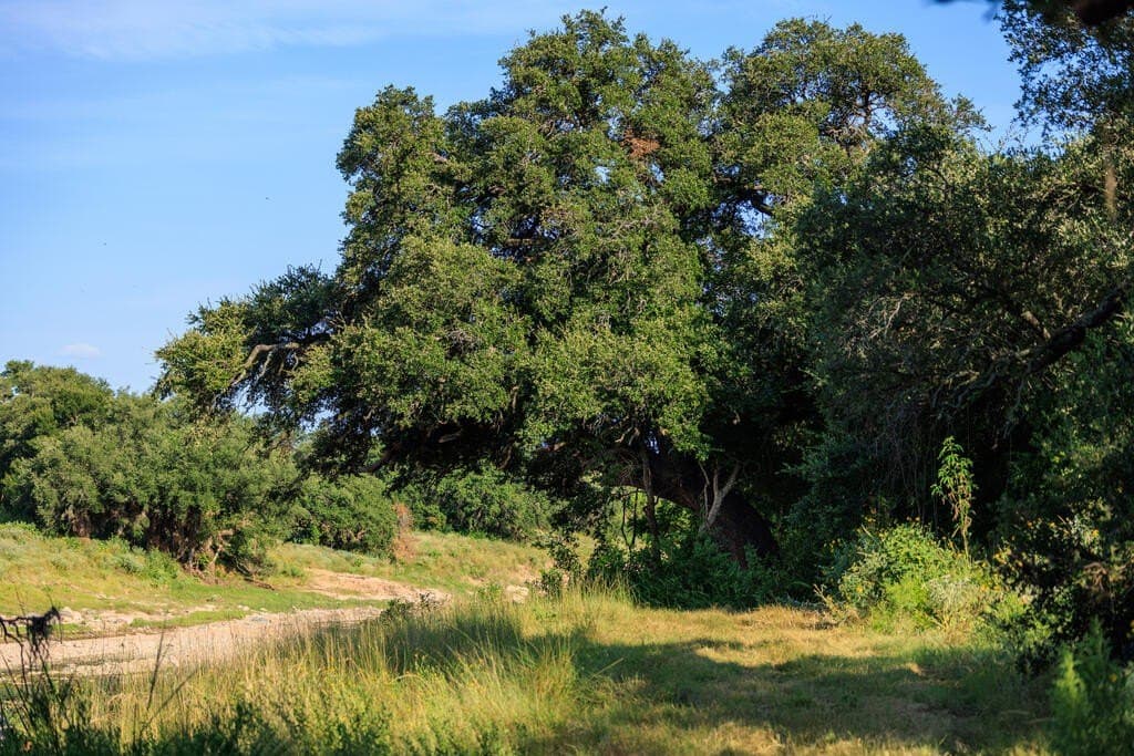 24 acres in Llano County - photo 21
