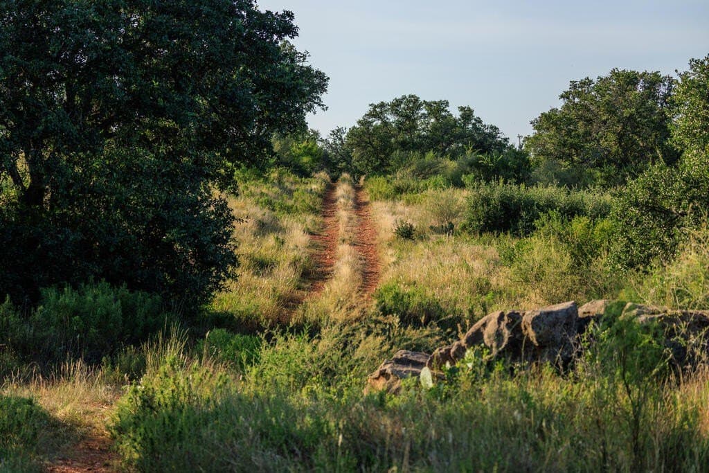 24 acres in Llano County - photo 24