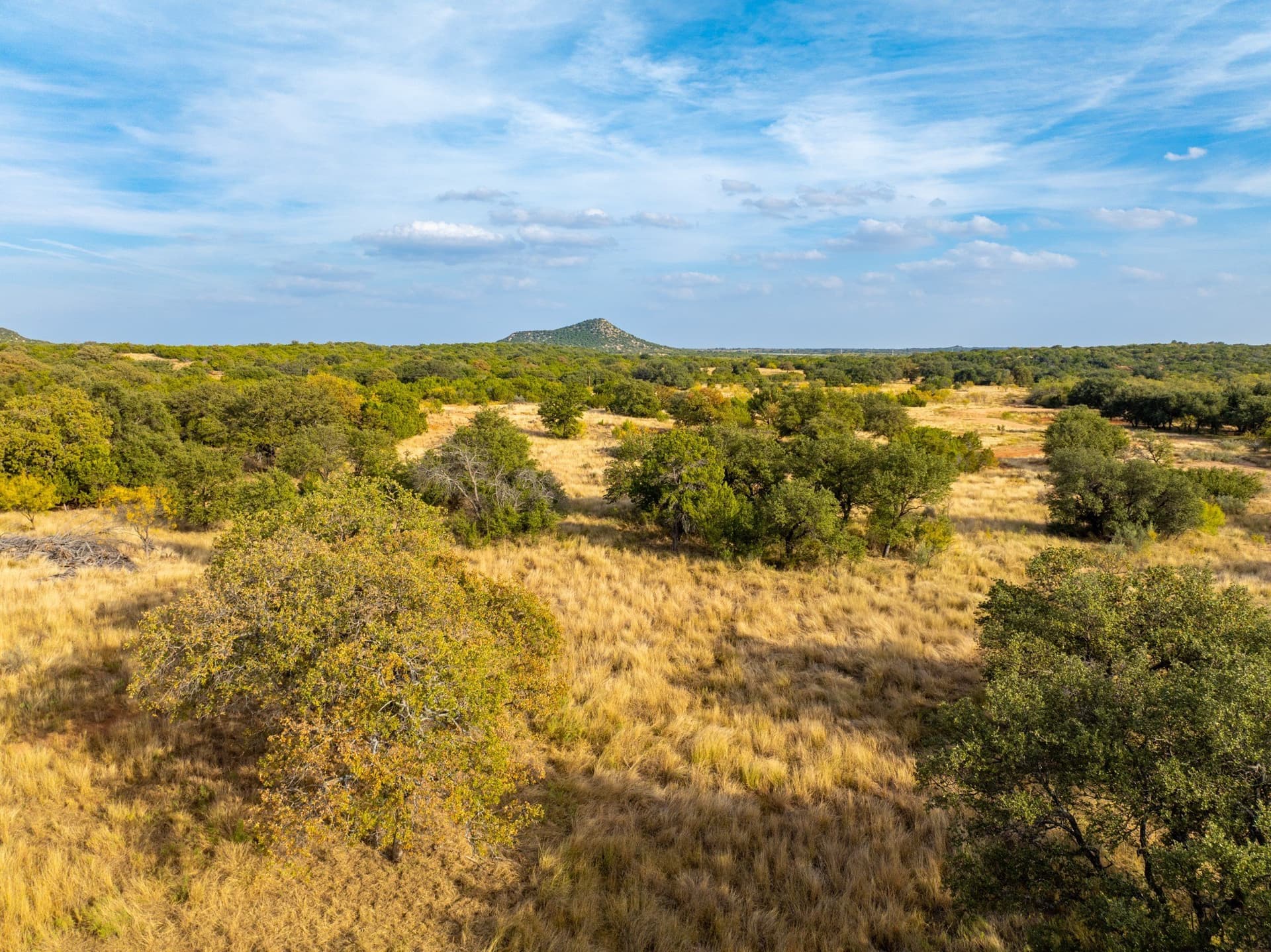 1,137 acres in Nolan County - photo 11