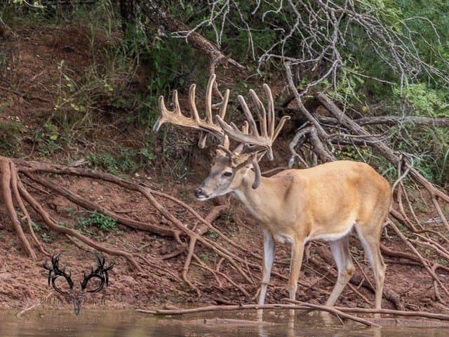 1,137 acres in Nolan County - photo 3