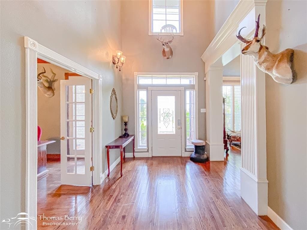 100 acres in Taylor County gallery image 4