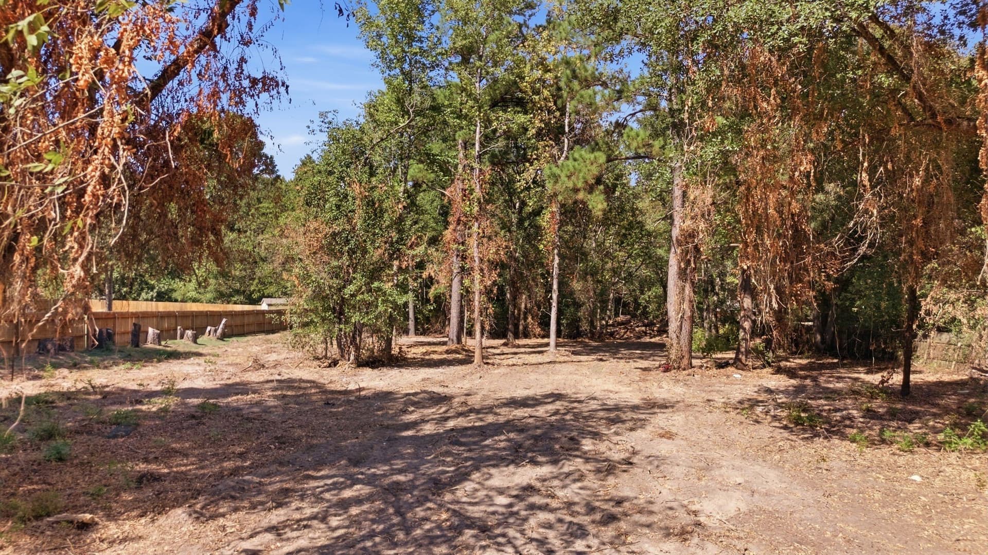 1.5 acres in Smith County - photo 2