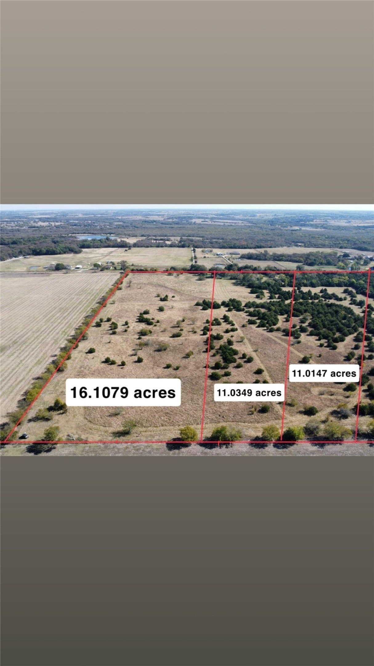 11.03 acres in Collin County gallery image 4