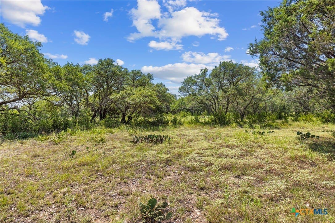 5.38 acres in Burnet County - photo 11