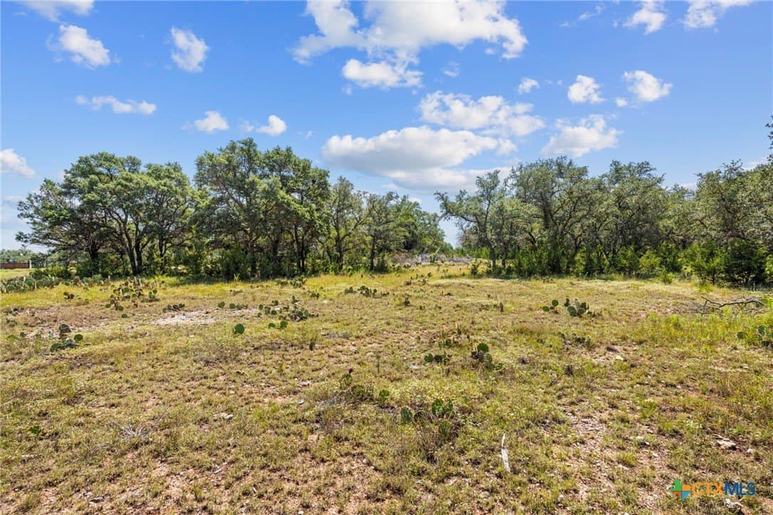 5.38 acres in Burnet County - photo 8