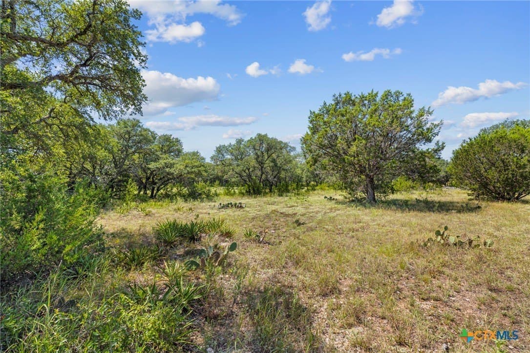 5.38 acres in Burnet County gallery image 2