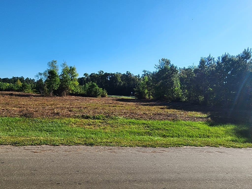 8.03 acres in Texas County featured view