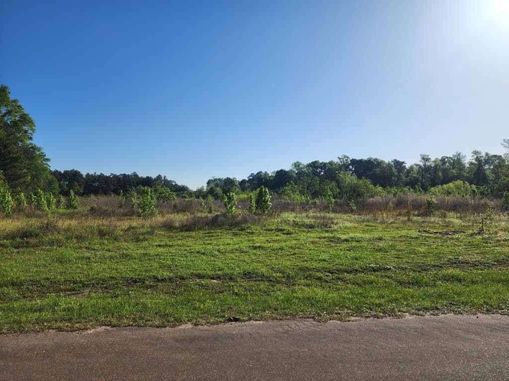 8.03 acres in Texas County - photo 12