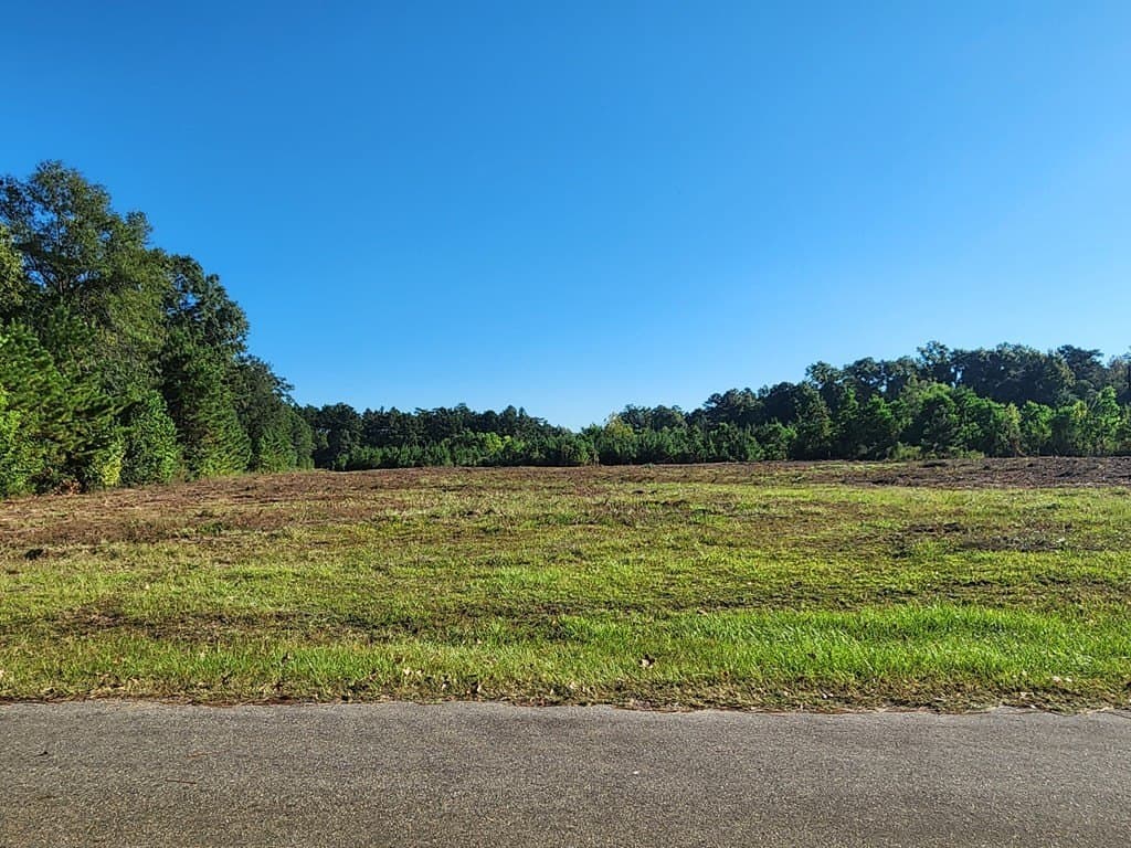 8.03 acres in Texas County gallery image 3