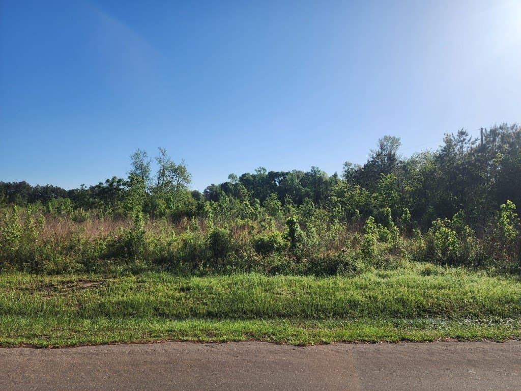 8.03 acres in Texas County - photo 14