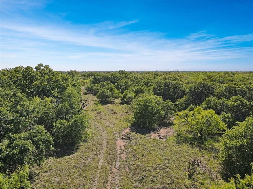 149.62 acres in Eastland County gallery image 4