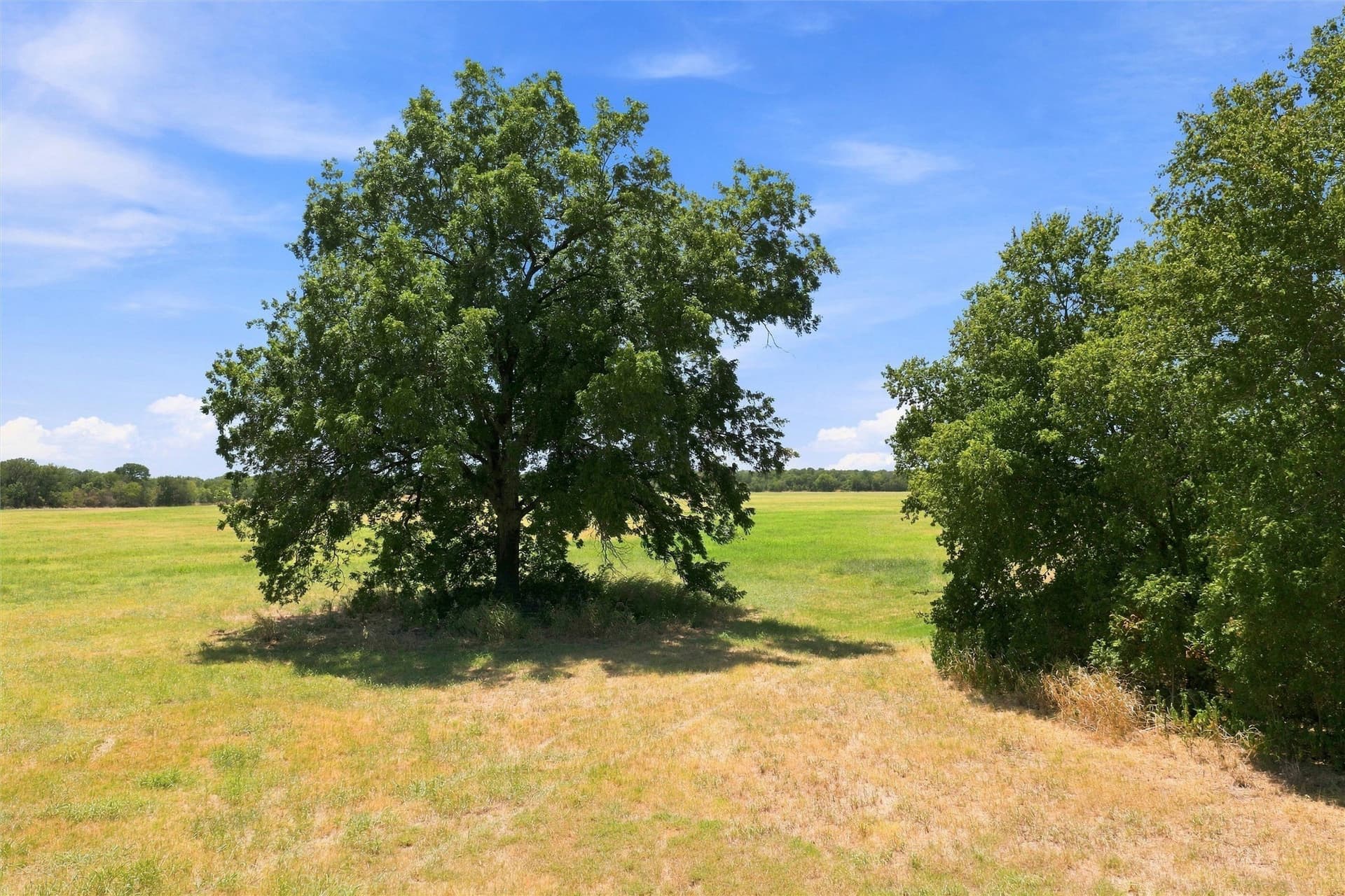 100.37 acres in Hill County - photo 17