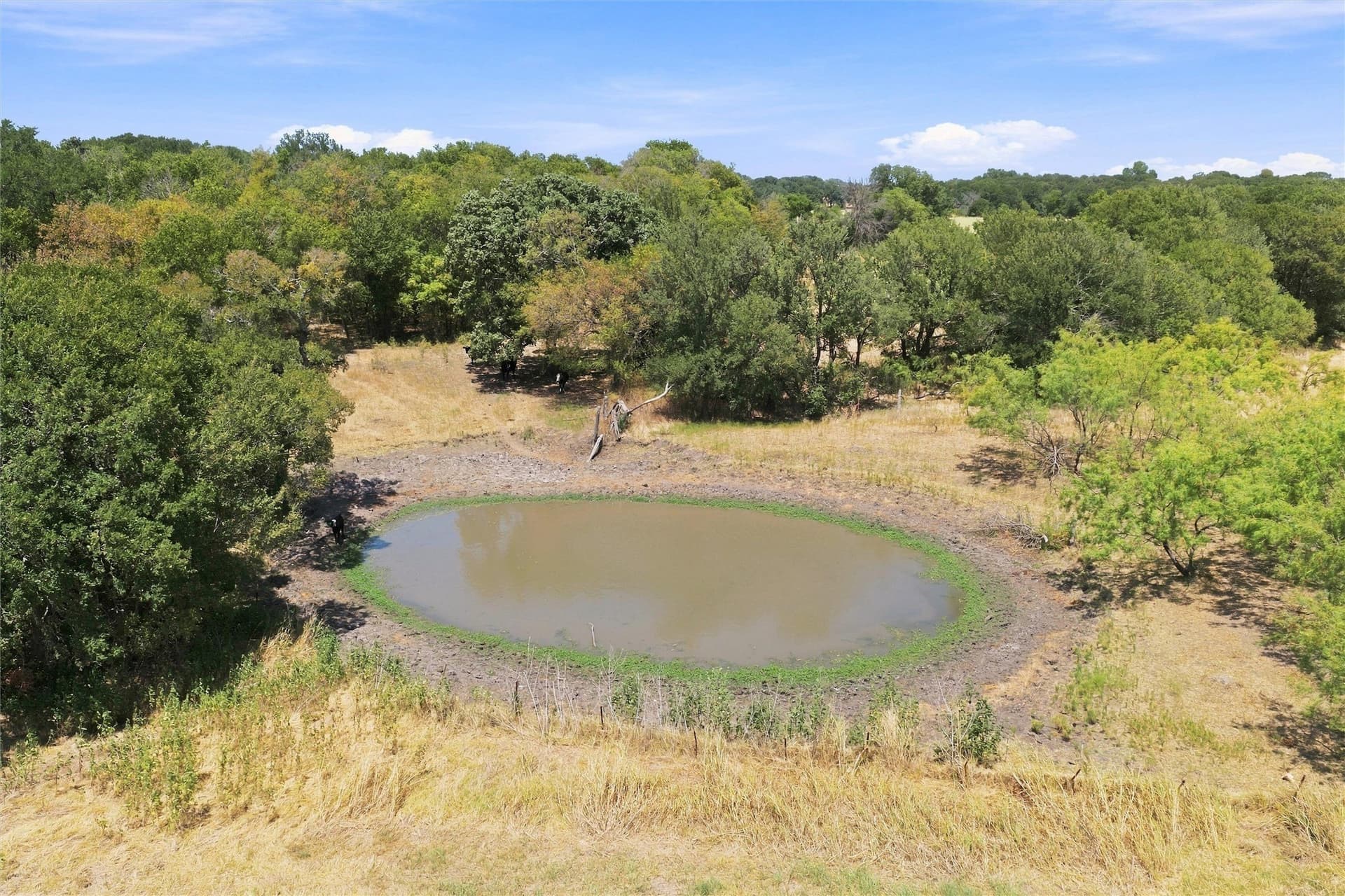 100.37 acres in Hill County - photo 18