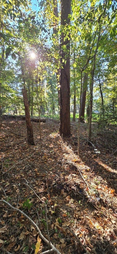 0.19 acres in Texas County - photo 7