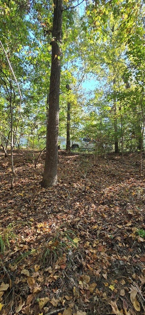 0.19 acres in Texas County - photo 8