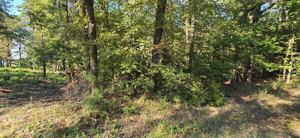 0.19 acres in Texas County - photo 9