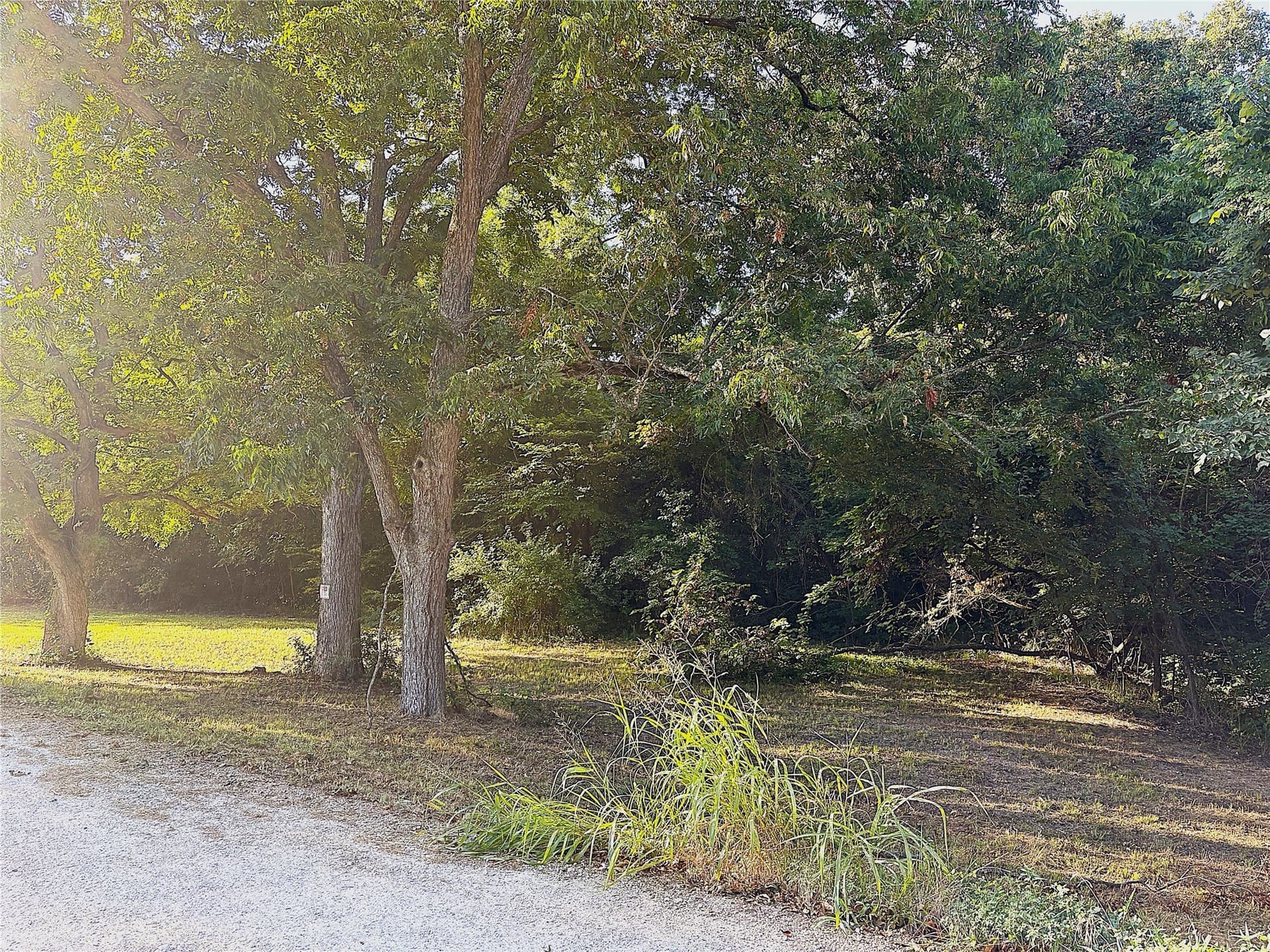 2 acres in Grayson County gallery image 4