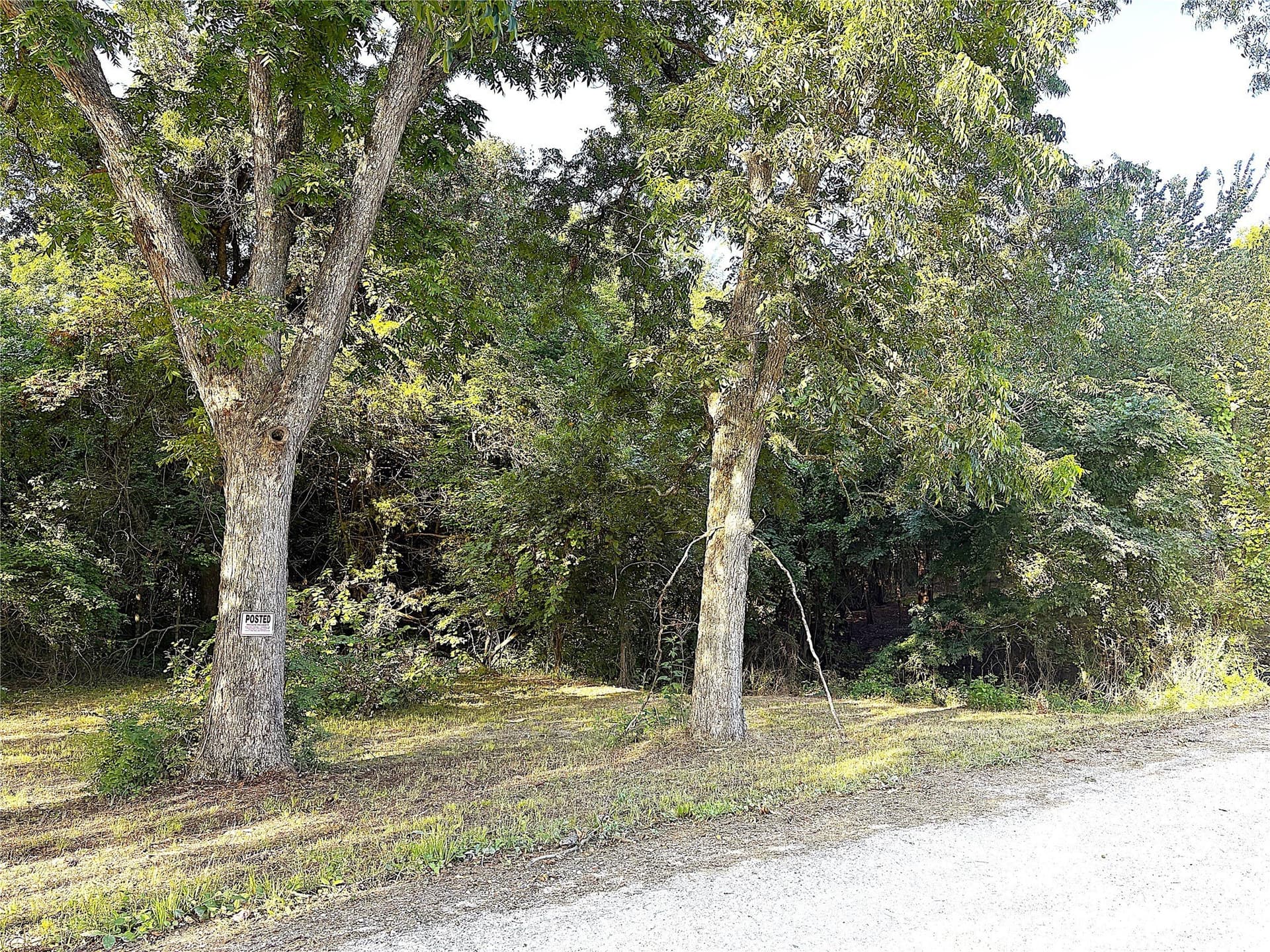 2 acres in Grayson County gallery image 3