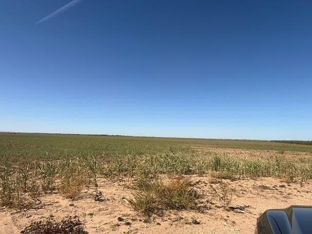 197 acres in Howard County - photo 25