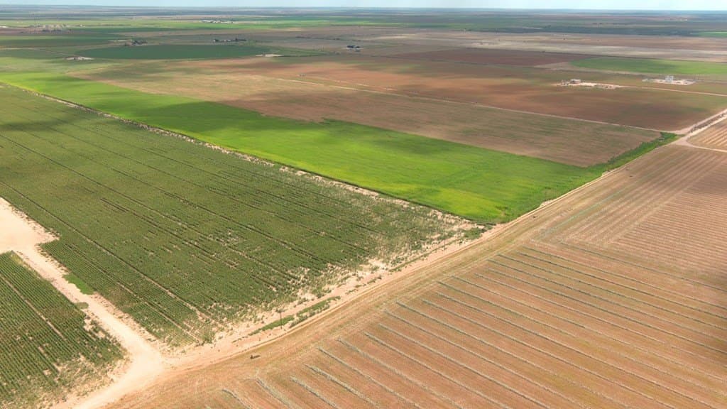 197 acres in Howard County - photo 14