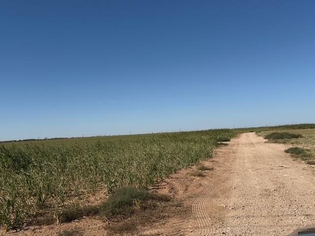 197 acres in Howard County - photo 20