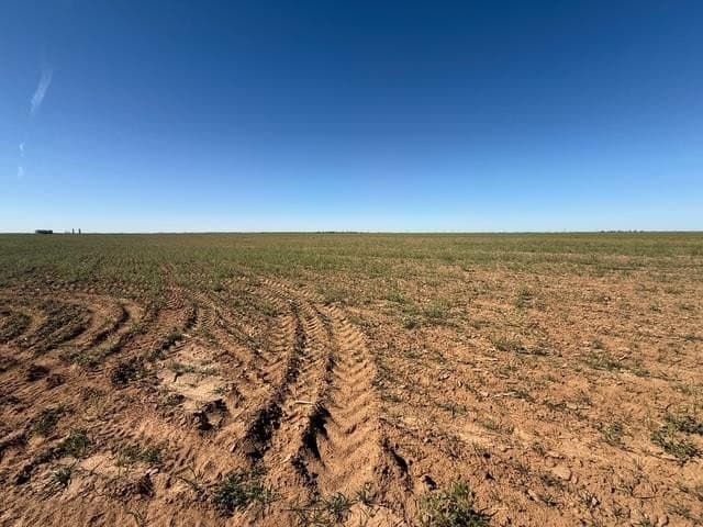 197 acres in Howard County - photo 31