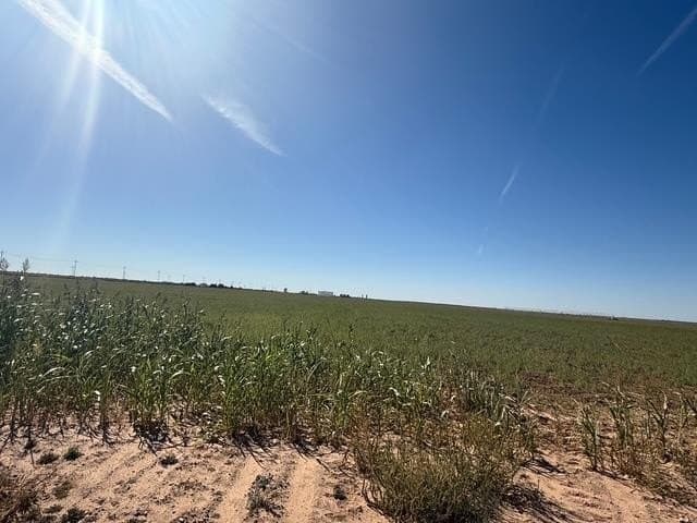 197 acres in Howard County - photo 24