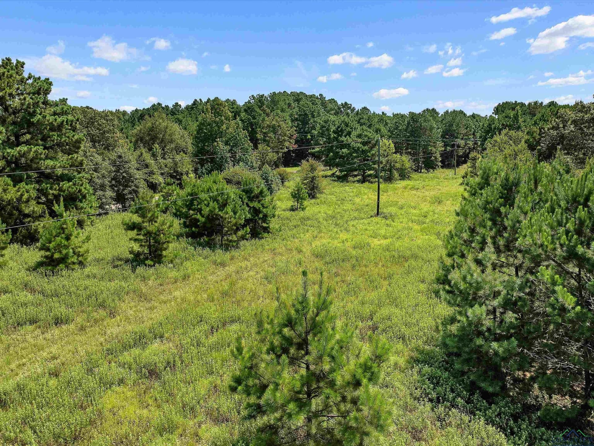 15 acres in Texas County gallery image 4