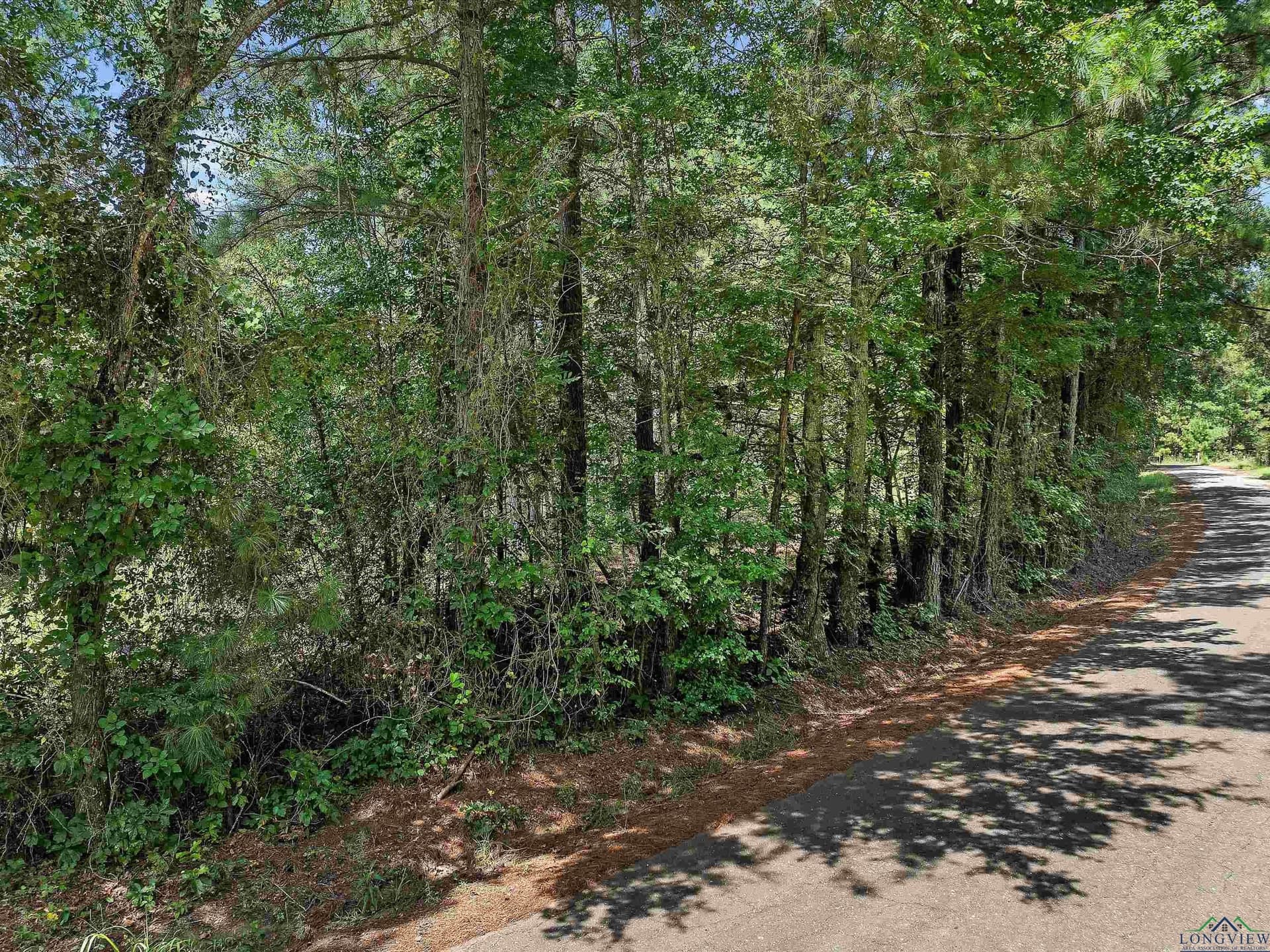 15 acres in Texas County