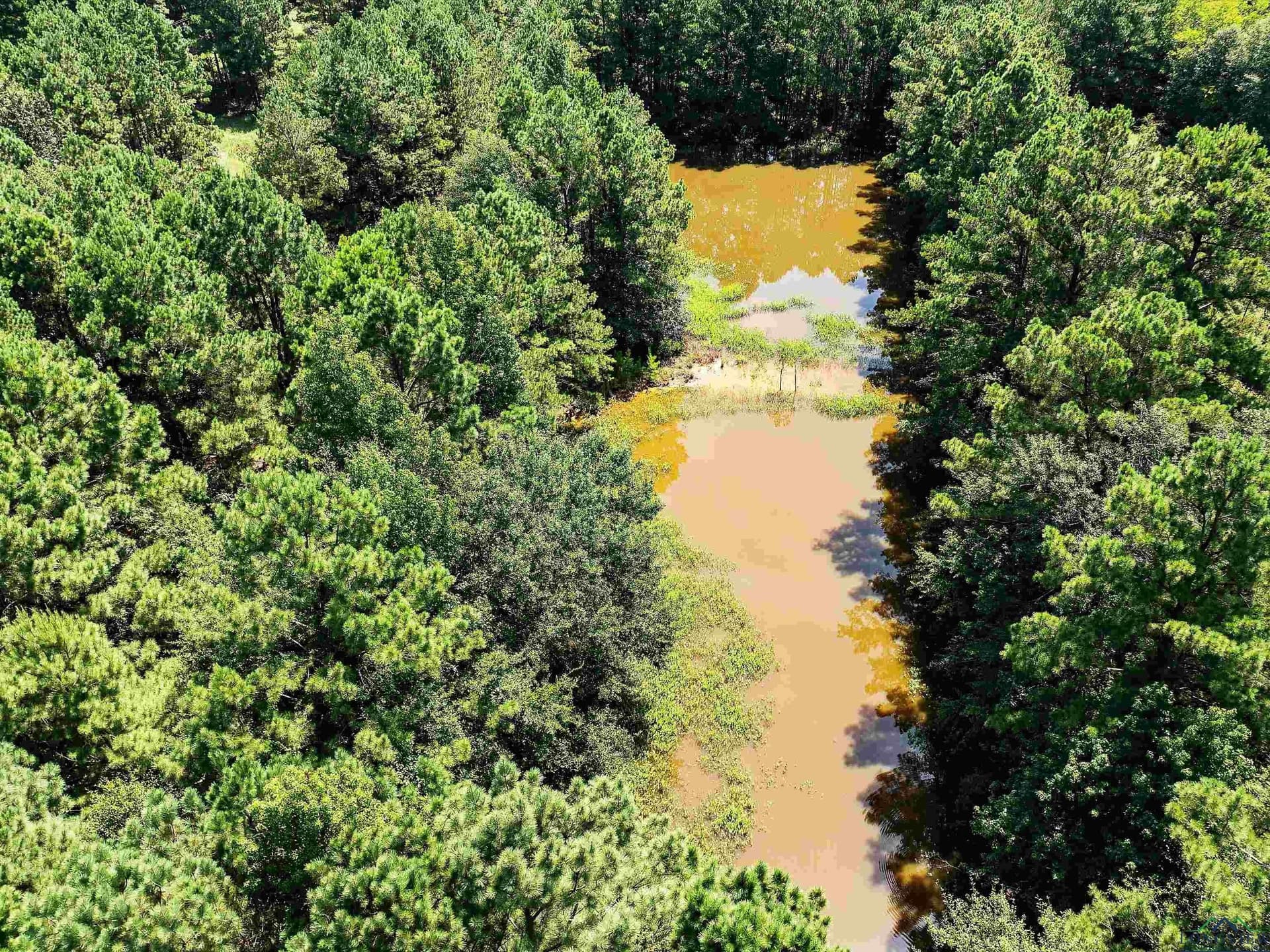 15 acres in Texas County featured view