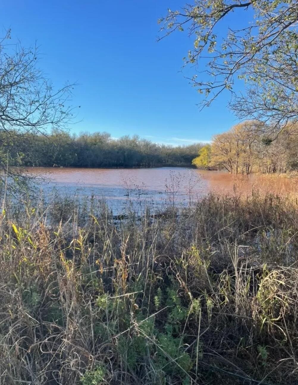 165.72 acres in Kent County - photo 7