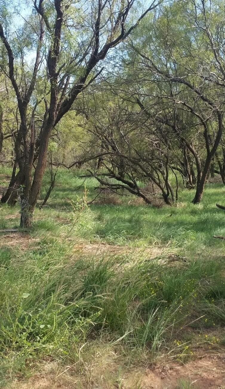 165.72 acres in Kent County featured view