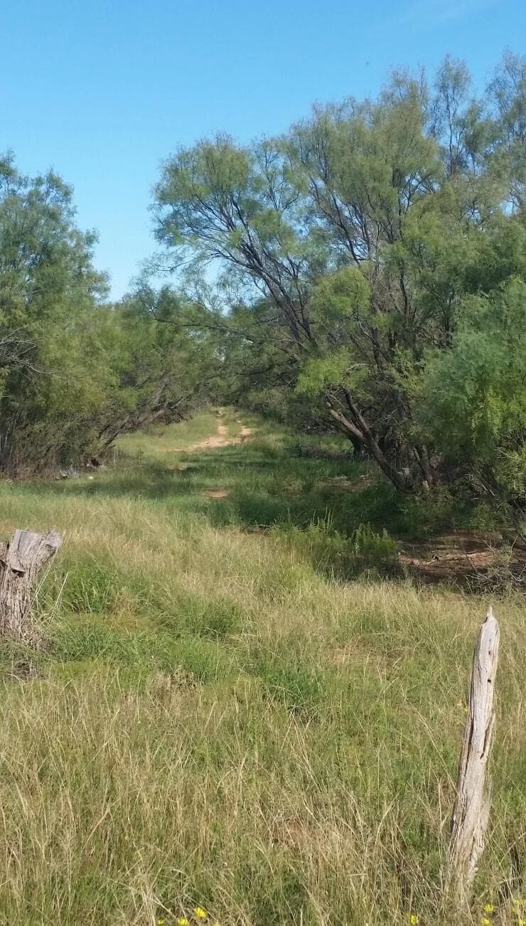 165.72 acres in Kent County - photo 6
