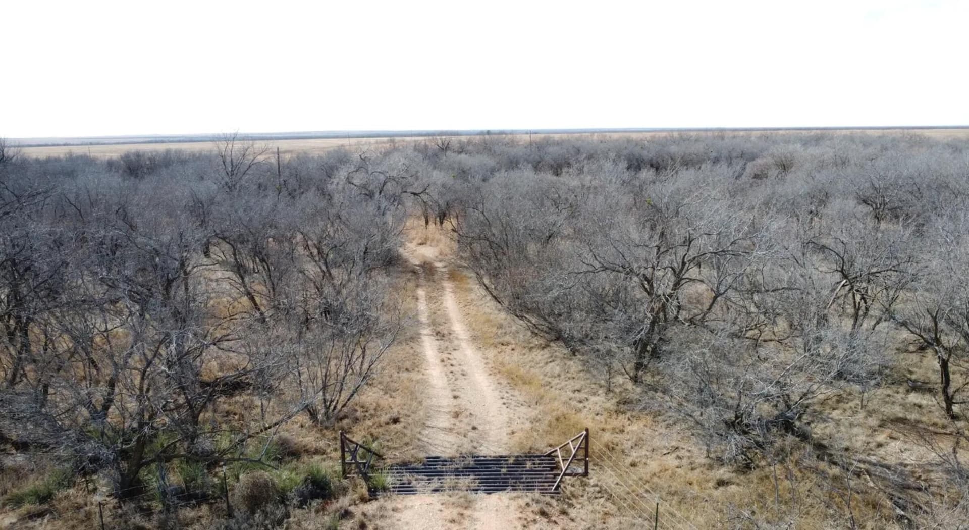 165.72 acres in Kent County gallery image 4