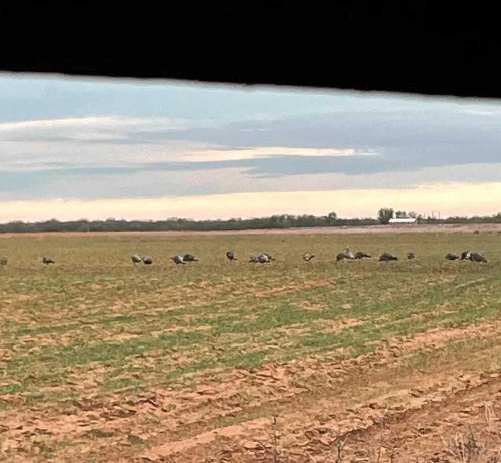 165.72 acres in Kent County - photo 13
