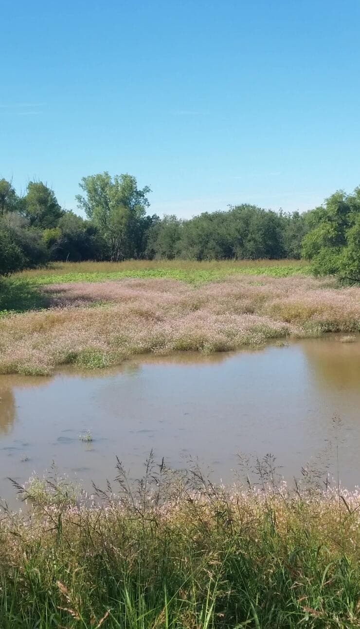 165.72 acres in Kent County - photo 8