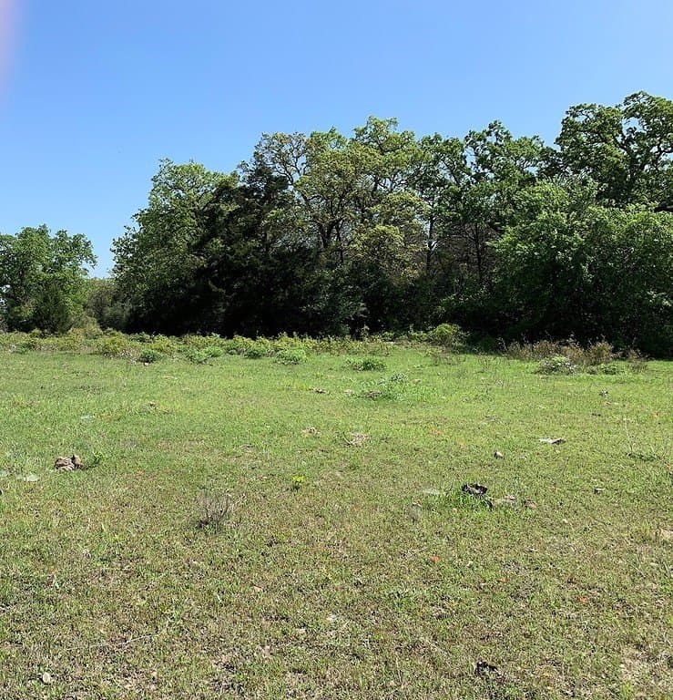 27 acres in Fayette County gallery image 4