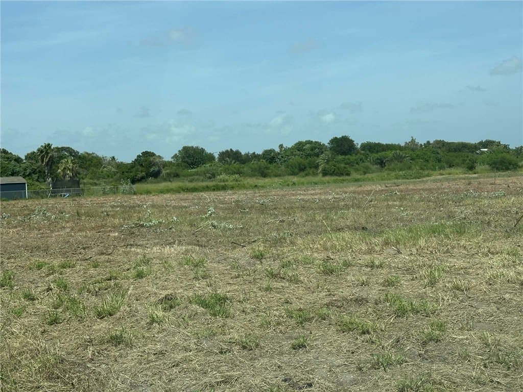 0.17 acres in San Patricio County gallery image 2