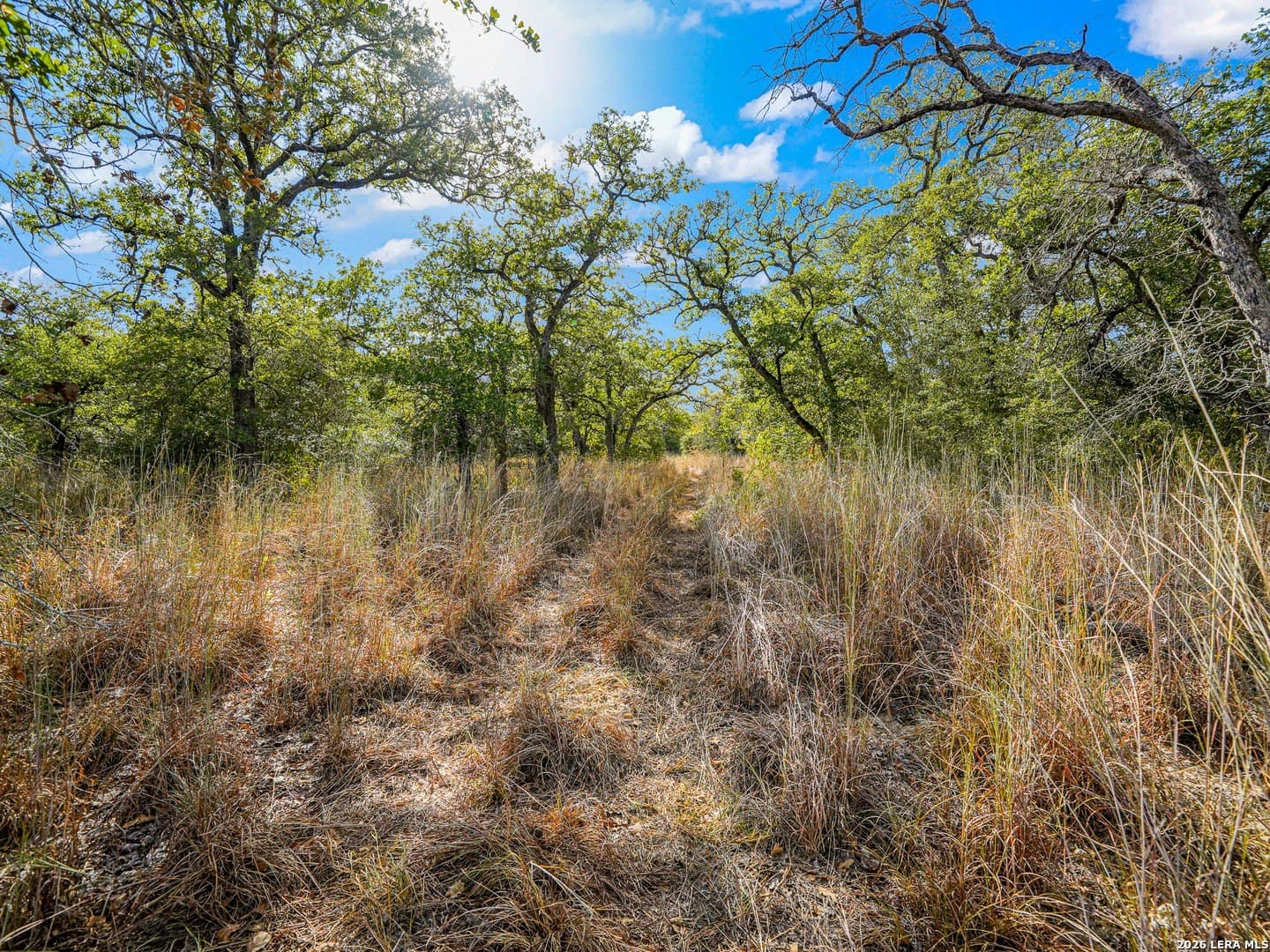 10.04 acres in Guadalupe County - photo 3