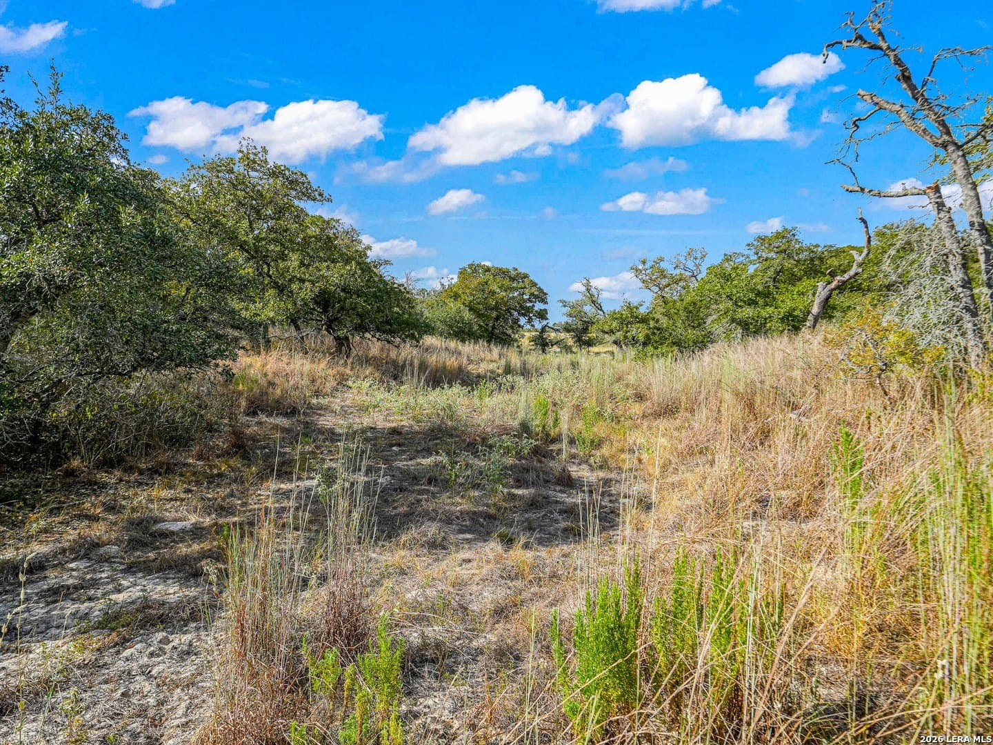 10.04 acres in Guadalupe County - photo 19