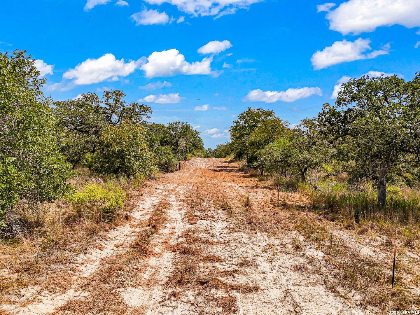 10.04 acres in Guadalupe County - photo 18