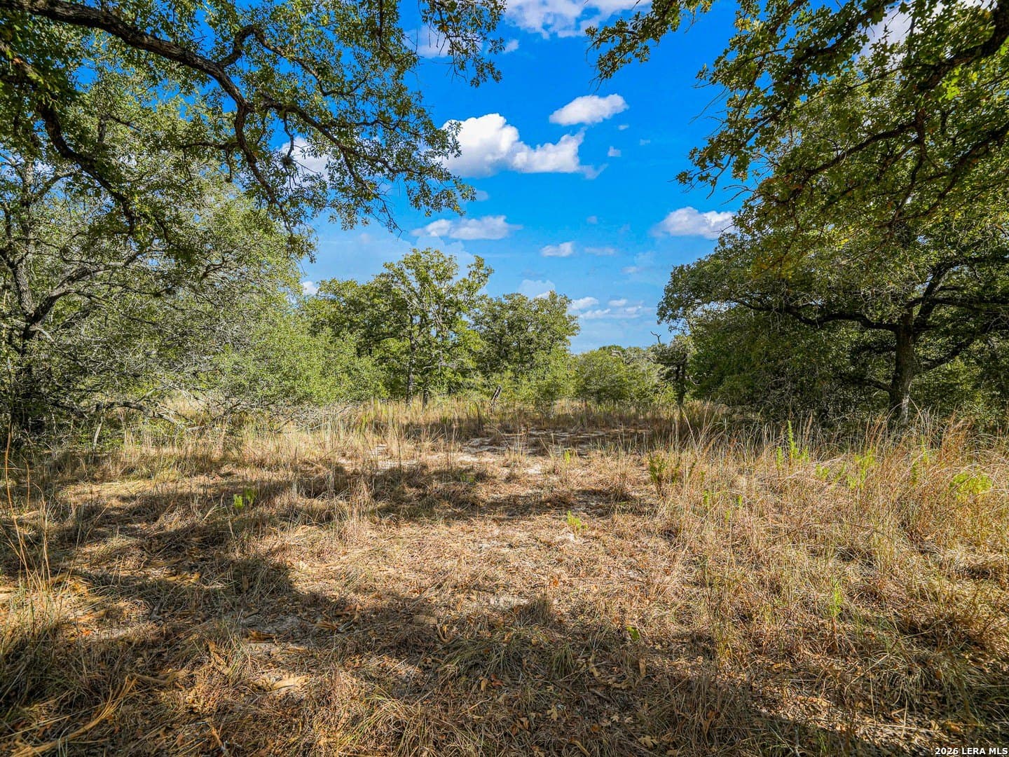 10.04 acres in Guadalupe County - photo 4