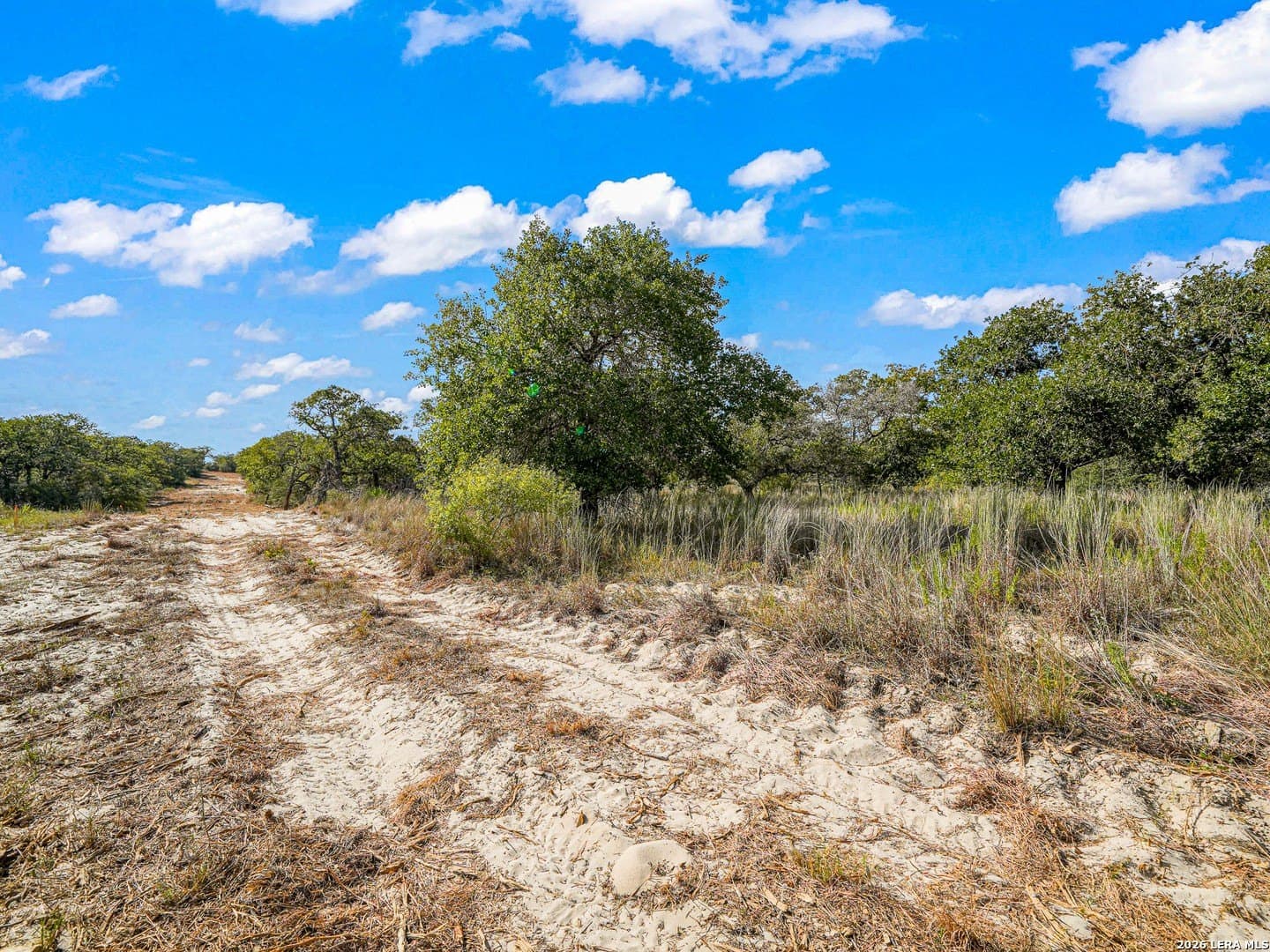 10.04 acres in Guadalupe County - photo 2