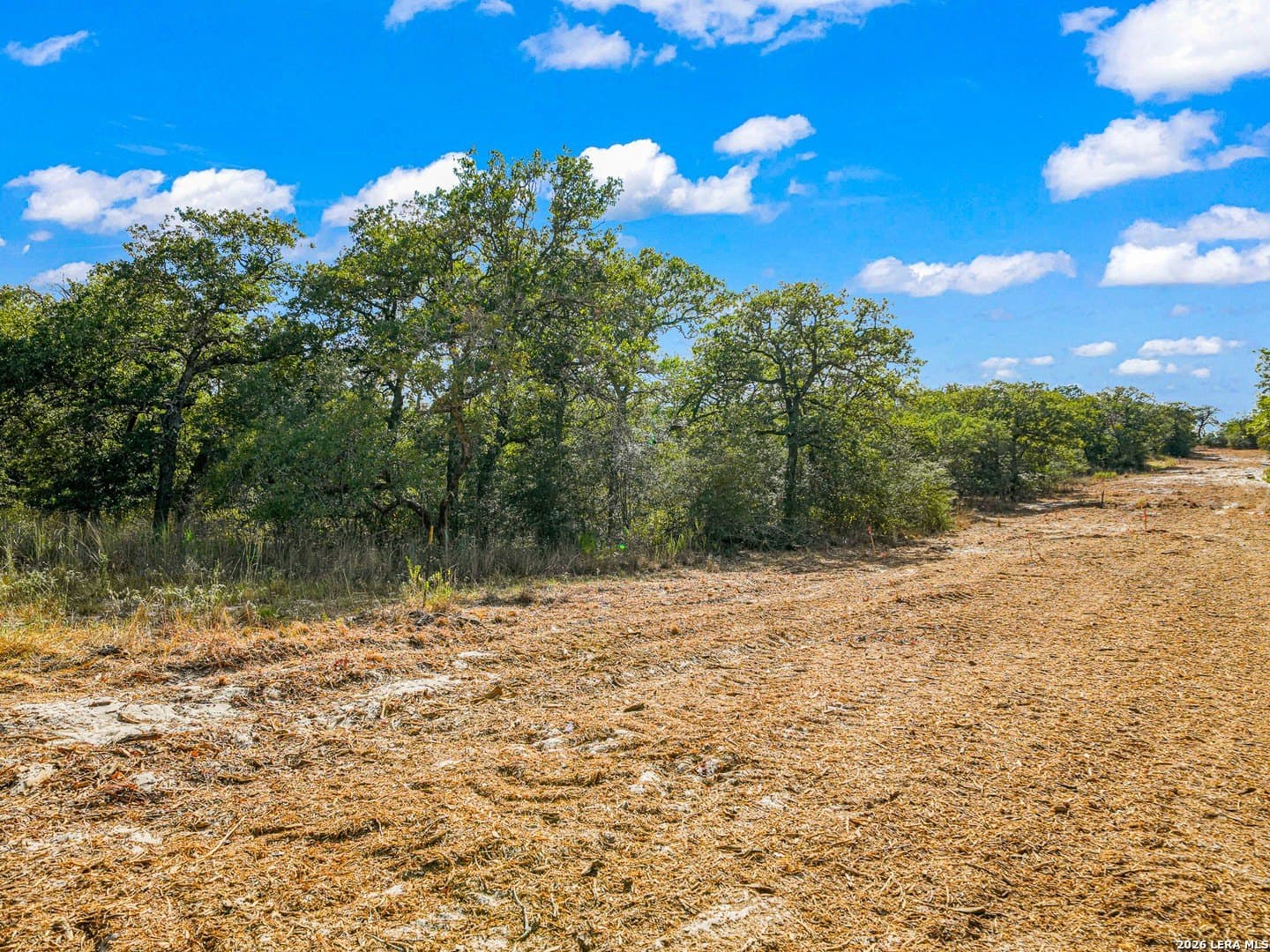 10.04 acres in Guadalupe County - photo 15