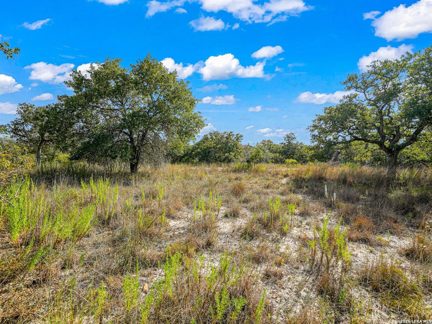 10.04 acres in Guadalupe County - photo 17