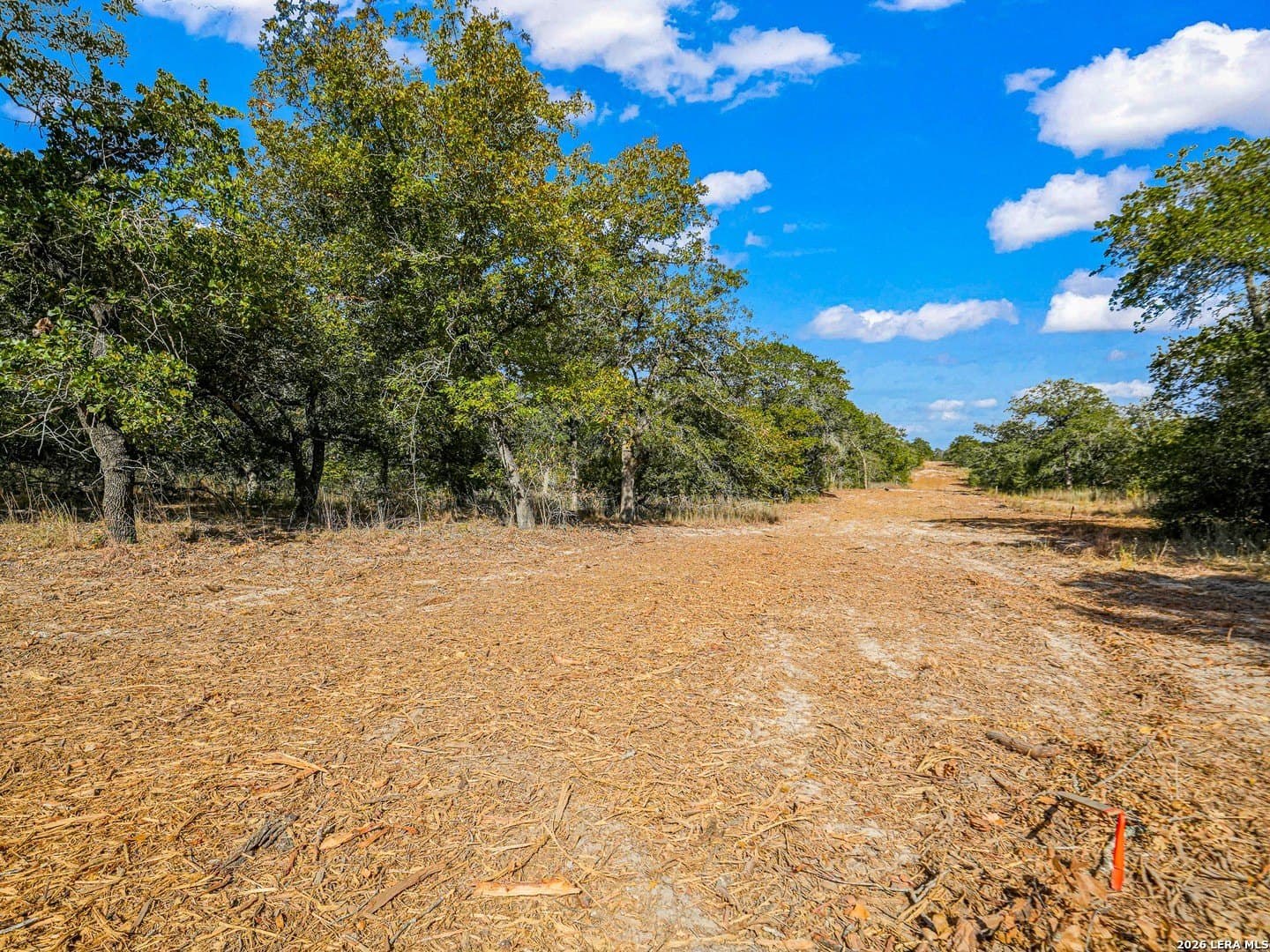 10.04 acres in Guadalupe County - photo 8