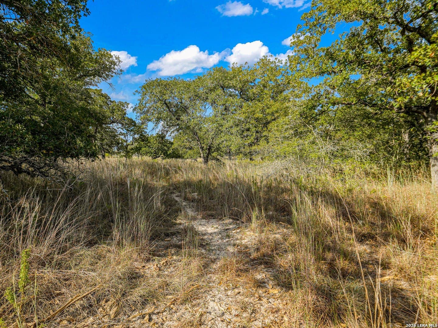 10.04 acres in Guadalupe County - photo 7
